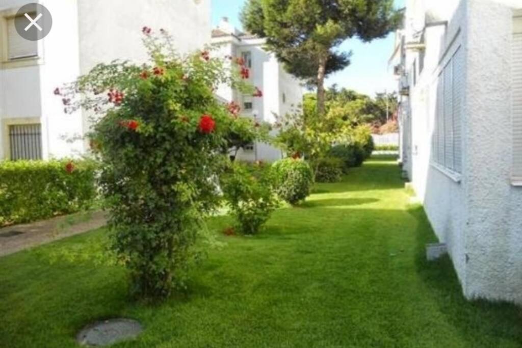 Acogedor Apartamento A 100 M. De Pinares Y Playa Apartment Rota Exterior photo